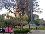 CASA ROMA 336: Departamento en venta en Roma Norte