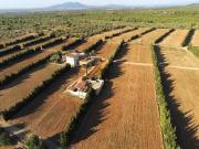 Casa rural de 900 m2 en venta L'Ampolla, España