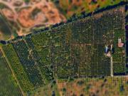 Casa rural de lujo de 453 m2 en venta Marratxí, Baleares