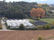 Casa rural en venta en calle Crta de Marata, Franqueses...