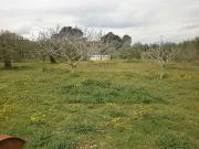Casa rural en venta en calle Del Roquís, Reus, de 50 m²...