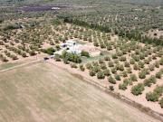 Casa rural en venta en calle Partida Bo Anolls,...