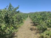 Casa rural en venta en calle Vall, Garcia, de 110 m² 1...
