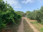 Casa rural en venta en Riudoms, de 41 m² 2 habitaciones...