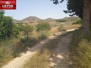 CASA RURAL EN VENTA EN TALLANTE