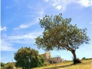 Casa rural reformada en alquiler de larga estancia en...