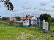 Casa rústica, Abela