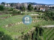 Casa rústica, Abragão