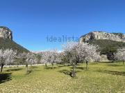 Casa rústica, Alaró