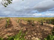Casa rústica, Albacete