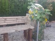 Casa rústica, Albacete