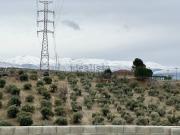 Casa rústica, Alfacar