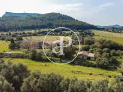 Casa rústica, Algaida