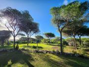 Casa rústica, Almancil