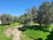 Casa rústica, Alora