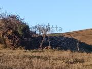 Casa rústica, Ardales