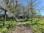 Casa rústica, Argamasilla de Calatrava