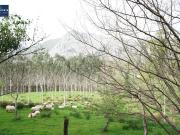 Casa rústica, Arredondo