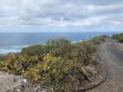 Casa rústica, Arucas