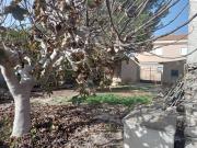 Casa rústica, Benejuzar