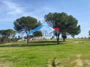 Casa rústica, Branca