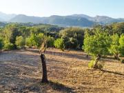 Casa rústica, Campanet