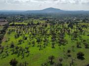 Casa rústica, Campanet