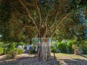 Casa rústica, Can Furnet, Santa Eulalia del Río