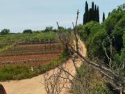 Casa rústica, Can Llong, Sabadell