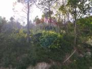 Casa rústica, Canedo de Basto e Corgo