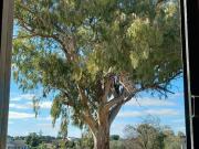 Casa rústica, Casar de Cáceres