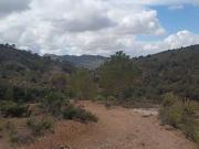 Casa rústica / Caserío en Venta en Abanilla