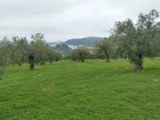 Casa rústica / Caserío en Venta en Alozaina