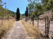 Casa rústica / Caserío en Venta en Andratx