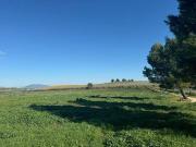 Casa rústica / Caserío en Venta en Antequera