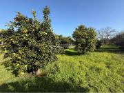 Casa rústica / Caserío en Venta en Arahal