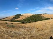 Terreno en Venta en Arcos de la Frontera