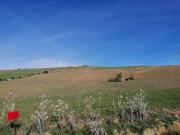 Casa rústica / Caserío en Venta en Ardales