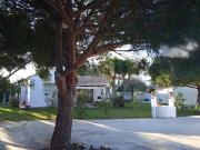 Casa rústica / Caserío en Venta en Barbate