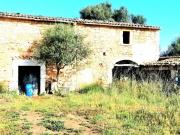Casa rústica / Caserío en Venta en Binissalem