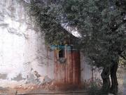 Casa rústica / Caserío en Venta en Cútar