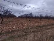 Casa rústica / Caserío en Venta en Daimiel