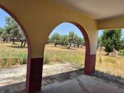 Casa rústica / Caserío en Venta en Dos Hermanas