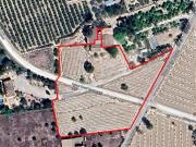 Casa rústica / Caserío en Venta en Elche Elx