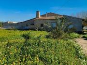 Casa rústica / Caserío en Venta en Elche Elx