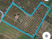 Casa rústica / Caserío en Venta en Gibraleón