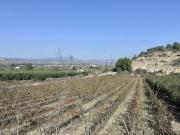 Casa rústica / Caserío en Venta en Ginestar