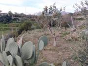 Casa rústica / Caserío en Venta en La Nucia