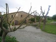 Casa rústica / Caserío en Venta en La Pera