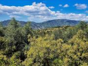 Casa rústica / Caserío en Venta en Lanjarón